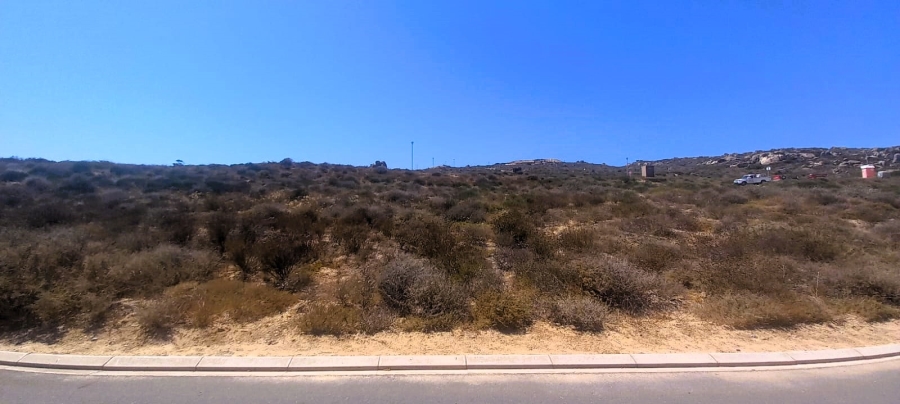 0 Bedroom Property for Sale in Steenbergs Cove Western Cape